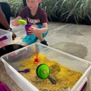 Davies Institute For Speech & Hearing - Speech-Language Pathologists