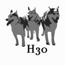3 Huskies Outdoor Services - Snow Removal Service