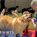 K9 Resorts Luxury Pet Hotel Grand Rapids - Pet Boarding & Kennels