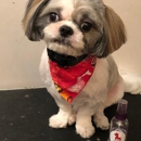 Groomit - Pet Grooming