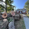 Prestige Tree Experts gallery