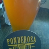 Ponderosa Brewing Company gallery