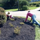 Dempster Brothers Lawn Care & Landscaping