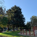 Whisman Park - Parks