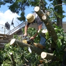 A+ Tree Care - Tree Service