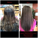 Fantastic Sams - Hair Stylists