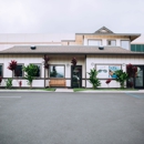 Maui Optometry - Optometrists
