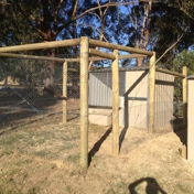 Gallery Image Number 4
