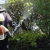 MiteBuster BedBug & Pest Control gallery
