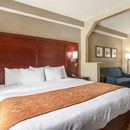 Comfort Suites Knoxville Airport - Motels