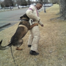 International K-9 - Dog Training