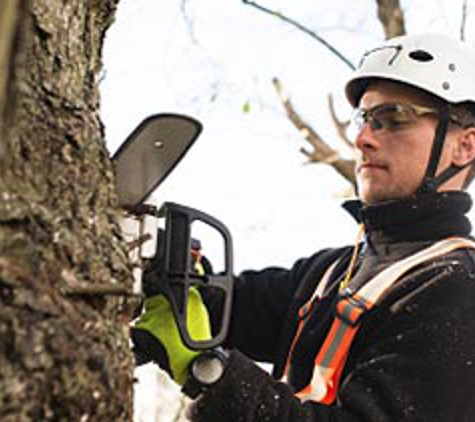 Midwest Tree Service - Homewood, IL