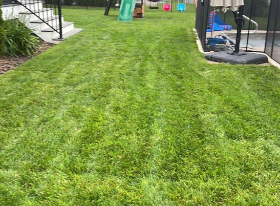 Brockman Tree & Lawn Care - Fairport, NY