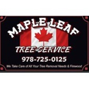Maple Leaf Tree Service - Tree Service