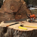 ArborVantage Tree Care - Tree Service