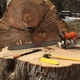 ArborVantage Tree Care