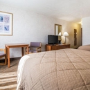 Quality Inn Homestead Park - Motels