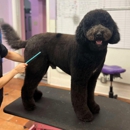 The Dog House Pet Salon - Galleria - Pet Grooming