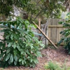 Otero Property Adjusting & Appraisals Inc gallery