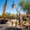 Your Way Tree Care gallery
