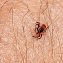 P. Wilson Exterminating Co. - Pest Control Equipment & Supplies