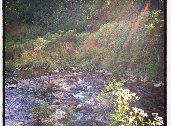 Big Bear Lake Camplands - Bruceton Mills, WV