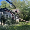 Justin Dugan's Tree Service gallery