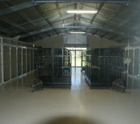 Simply Catz - Jensen, QLD