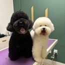 Barky Lounge - Pet Stores