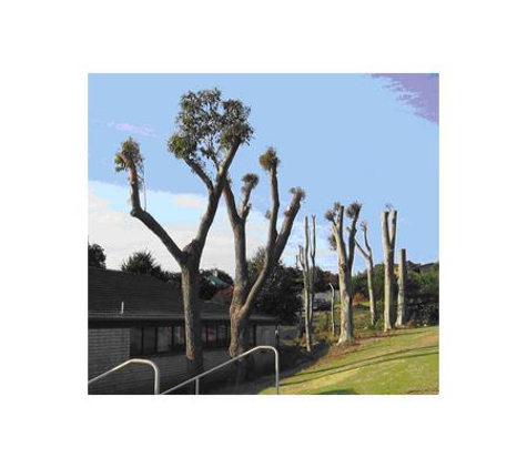 Bell's Tree Service - Oxley Vale, NSW