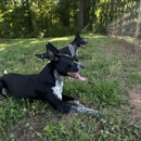 AweDogs Dog Training - Pet Boarding & Kennels