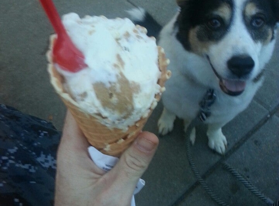 Bruster's Real Ice Cream - Mechanicsville, VA