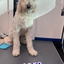 Pooch Parlor - Pet Grooming