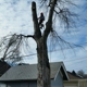 Tree Services of Omaha