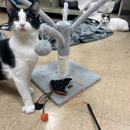 VCA Andover Animal Hospital and Pet Resort - Pet Services