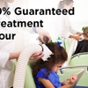 Lice Clinics of America - Arlington gallery