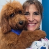 Paws Pet Love - Grooming & More gallery