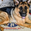 Ridgeside K9 Colorado Springs gallery