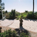 Sandpiper Inn - Motels