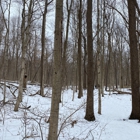 Ritchey Woods Nature Preserve