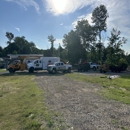Tri-Star Tree Care - Tree Service