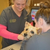 Clovercroft Veterinary Hospital gallery