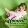 Naturell Carpet Cleaning gallery