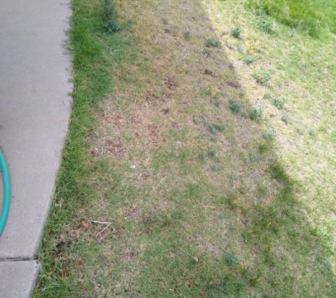 Affordable Irrigation - Albuquerque, NM. Now my grass section is dying