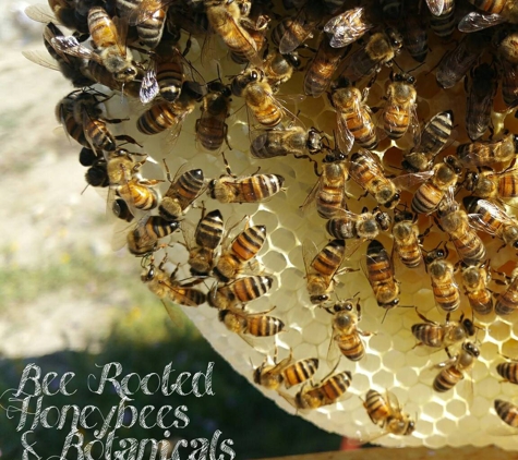 Bee Rooted - Rancho Cucamonga, CA