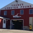 Young's Lobster Shore Pound - Seafood Restaurants