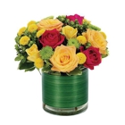 Allburn Florists