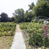 Southwick Village gallery