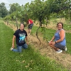 Lubben Vineyards & Wines gallery
