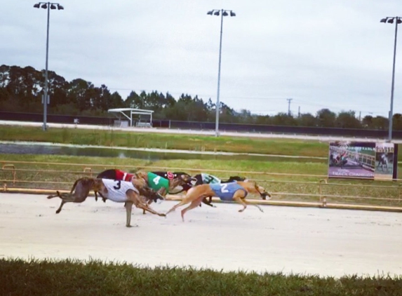 Daytona Beach Kennel Club and Poker Room - Daytona Beach, FL